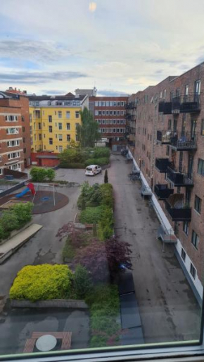 Private room in to roomsapartment (Grunneløkka)